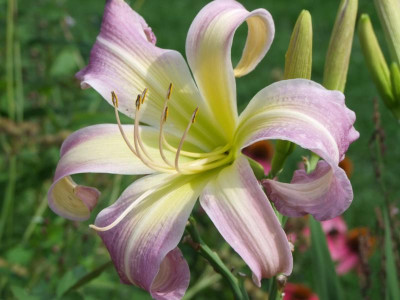 06.08.2019 16-01-33_18051.jpg