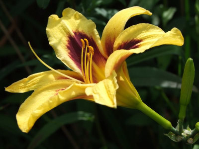 06.08.2019 16-01-09_18039.jpg
