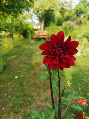 IMG_20190805_185533.jpg