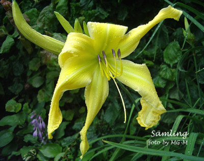 Imgp2828-Smlg.jpg