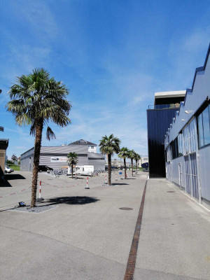 IMG-20190809-WA0001.jpg