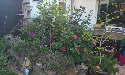 20190810b.jpg