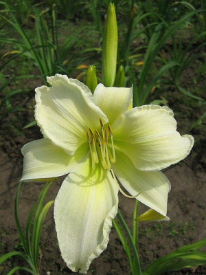 ungeklart_5840_r11.jpg
