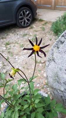 20190709_202504.jpg