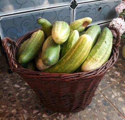 rps20190813_094930.jpg