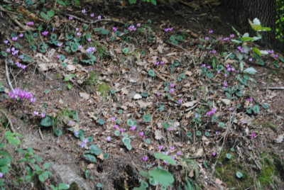 065.JPG