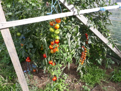 rps20190814_085727.jpg