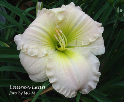 Imgp2857-LaurenLeah.jpg