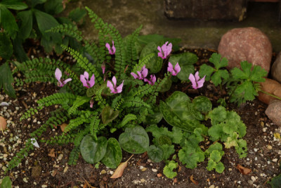 DSCF0025_4125.JPG
