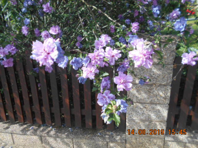 DSCN9455.jpg