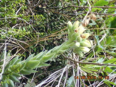 DSCN9447.jpg