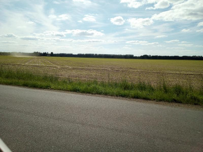 IMG_20190529_161039.jpg