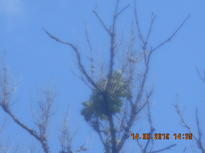 DSCN9399.jpg