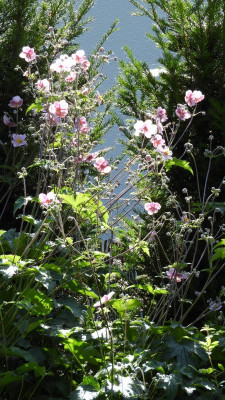 DSCN4621.JPG