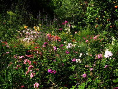 Westgarten 2019-08-14 2.jpg