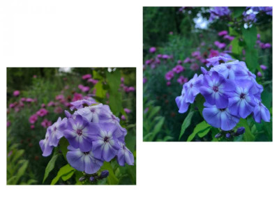inCollage_20190816_115218615.jpg