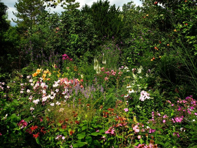 Westgarten 2019-08-14 3.jpg