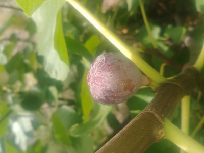 20190817_112538.jpg