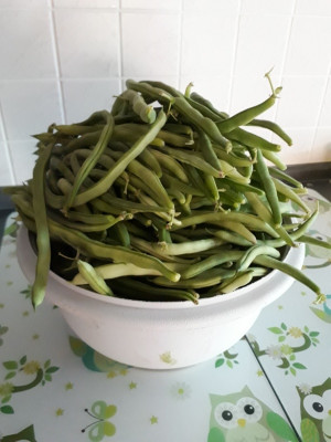 rps20190818_193723.jpg