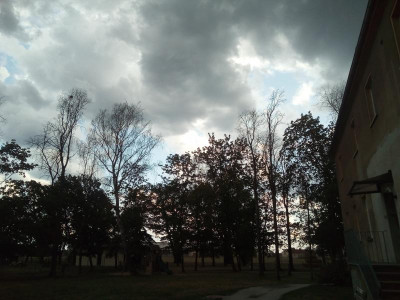IMG_20190801_180610.jpg