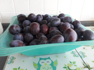 rps20190819_144659.jpg