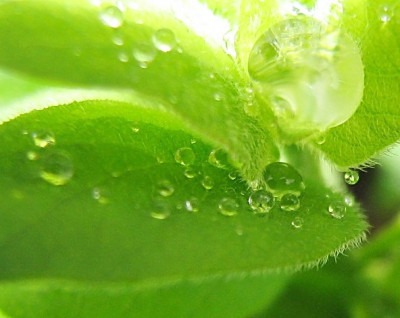 Regen-_23.06.07_018.jpg
