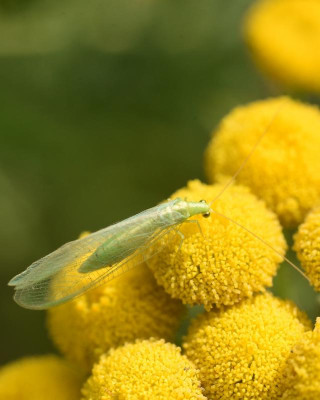 05.jpg