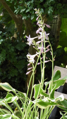 DSCN4644.JPG