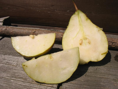 STB_5796.JPG