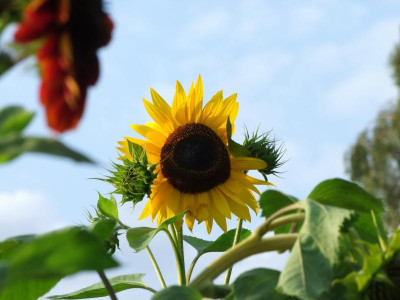 24.08.2019 09-24-51_18747.jpg