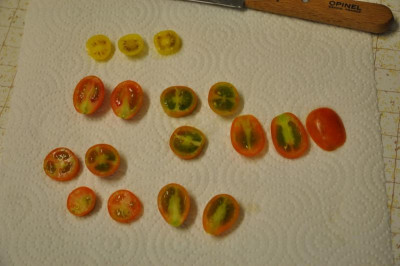 06_Tomatenscheiben.JPG