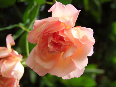 25.08.2019 14-03-06_18825.jpg