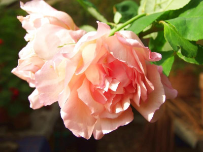 25.08.2019 14-03-11_18827.jpg