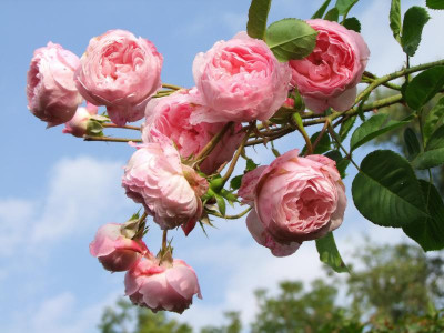 25.08.2019 14-03-51_18844.jpg