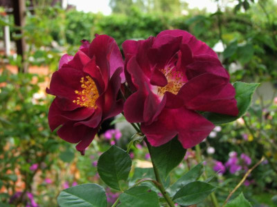 25.08.2019 14-03-18_18830.jpg
