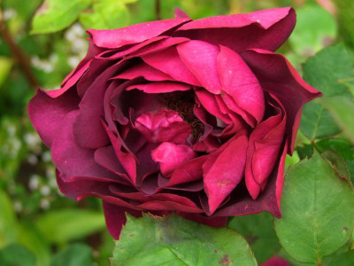 25.08.2019 14-03-39_18839.jpg
