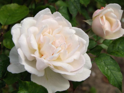 25.08.2019 14-04-21_18856.jpg