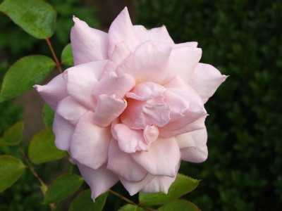 25.08.2019 14-04-11_18852.jpg