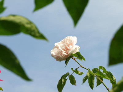 25.08.2019 14-09-37_18988.jpg