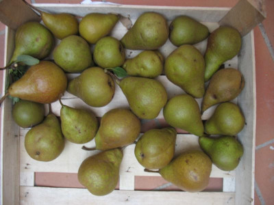 STA_5797.JPG