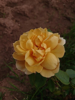 DSC_3577.JPG