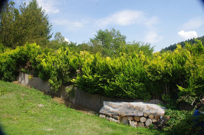 K5112697.jpg