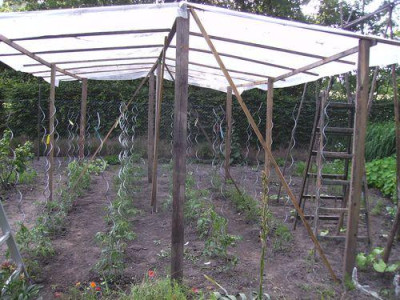 Tomatendach_07.jpg