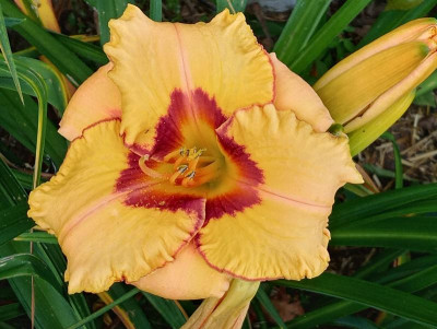 20190830_142641_HDR.jpg