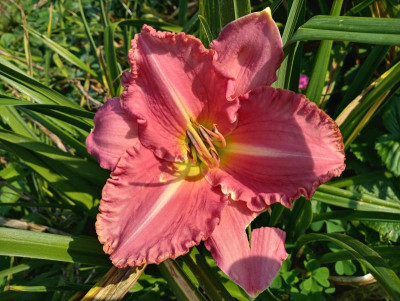 20190831_084553_HDR.jpg