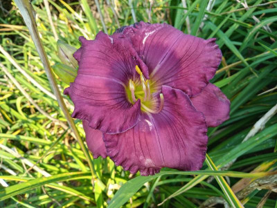 20190831_084741_HDR.jpg