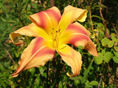 31.08.2019 13-15-36_19140.jpg