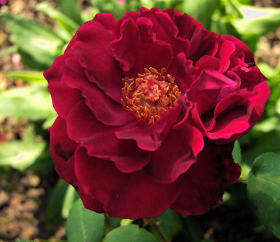 31.08.2019 13-15-23_19135.jpg