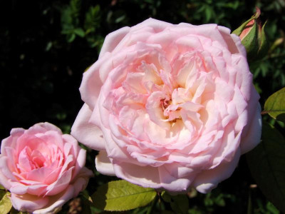 31.08.2019 13-14-25_19112.jpg