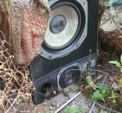 20190830_164719b.jpg